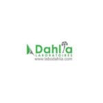dahlia
