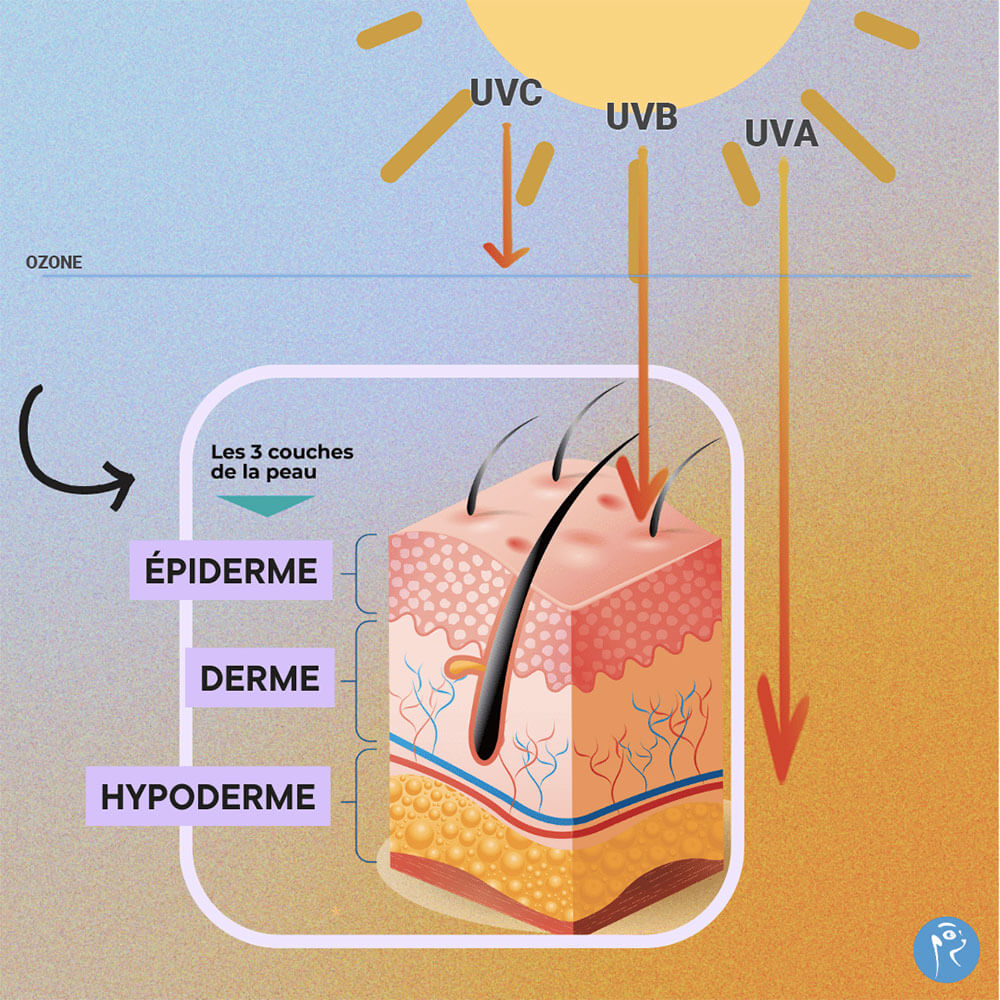 UVA, UVB, UVC comprendre les types de rayons UV pour mieux se protéger